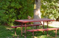 Wildlife at Missoula KOA
